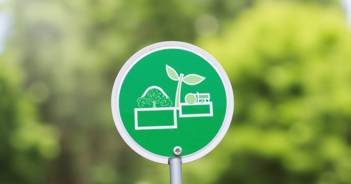 Réduction des budgets RSE : EcoTree offre une solution économique et efficace