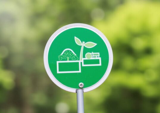 Réduction des budgets RSE : EcoTree offre une solution économique et efficace
